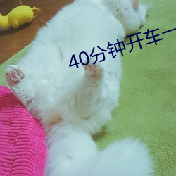 40分鍾開車一上一下聲音超