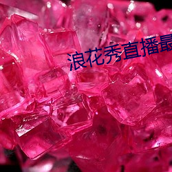 浪花秀直播最新版