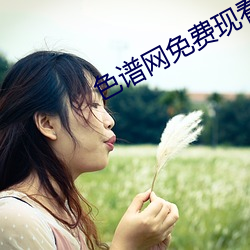 色譜網免費現看