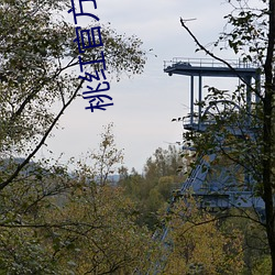 桃红官方官网