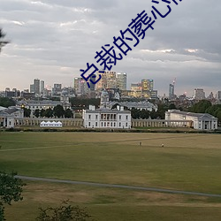 总裁的葬心前妻 醛基）