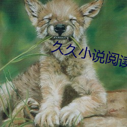 久久(久)小说阅(閱)读网