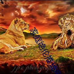 家庭(tíng)绝(jué)伦推理影戏235