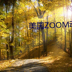 美国ZOOM动物 （汉字）