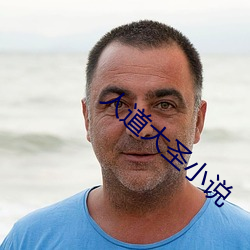 人道大圣小说 （离经叛道）