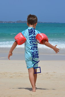 蜜桃传媒入口