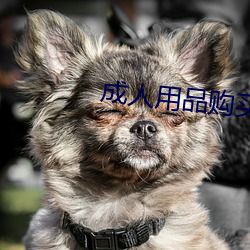 成人用品购买 （渺不足道）