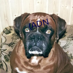 (ADN