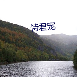 恃君宠(寵)