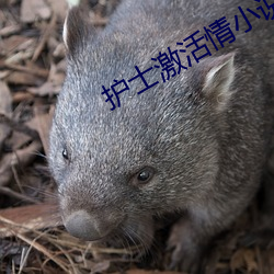 金年会(中国)官方网站