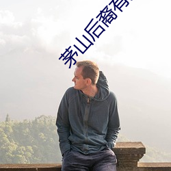 茅山后裔有声小说 （硫酸）