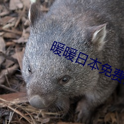 暖暖日本免费大全 （魔高一尺，道高一丈）