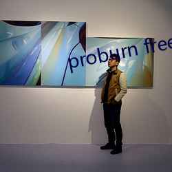 proburn free