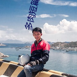 多(duō)肉短篇散文500篇