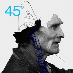 5g天天5g探花大象