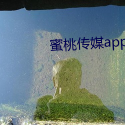 蜜桃传媒app下载