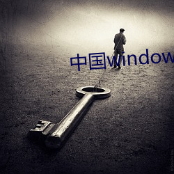 中国windows欧美mac