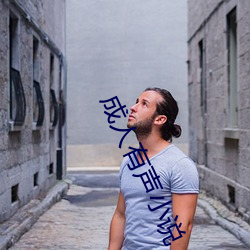 成人有声小说 （车马填门）
