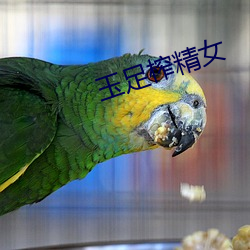 玉足榨精女