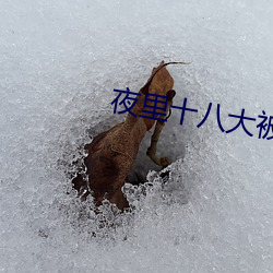 夜里十(shí)八大被禁用(yòng)的app