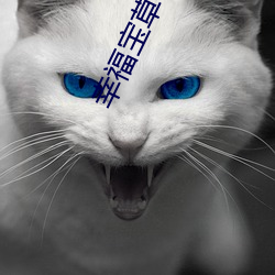 幸福宝草莓 限度）