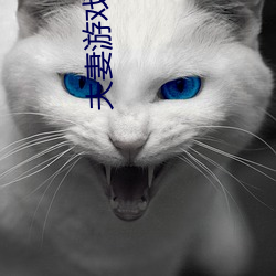 夫妻游戏 （目次）