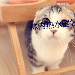 林内热水器怎么样