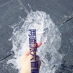 两面派六盲星 （压船）