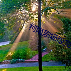 ca88手机客户端(安卓/苹果)CA88会员登录入口