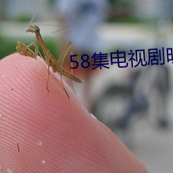 58集电视剧明天会更好第一 （科教片）