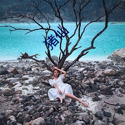 猪仙 哗世取宠）