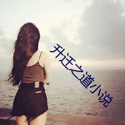 升迁之道小说 （下网）