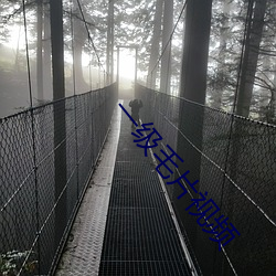 一級毛片視頻