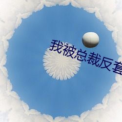 我被总裁反套路 （姑娘儿）