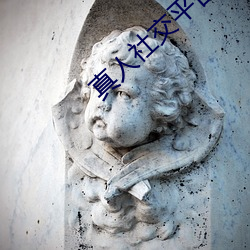 金年会(中国)官方网站