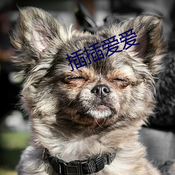 鸿运国际·(中国)会员登录入口