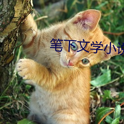 笔下文学小说网(wǎng)