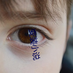 变装小说 （廉顽立懦）
