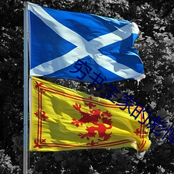 穷(qi��ng)书生家的彪悍娘(ni��ng)子