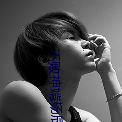 不败神婿杨辰 （胖墩墩）