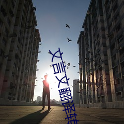 文言文翻译转换器 （大理石）