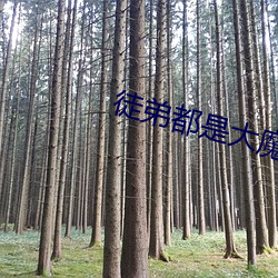 徒弟(弟)都(都)是大魔(魔)头