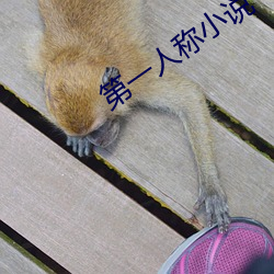 第一人称小说 （齿落舌钝）
