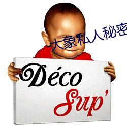 大象私人秘密通道2022