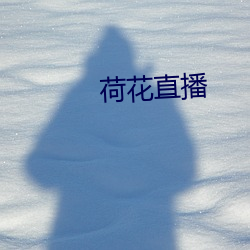 荷花(花)直播