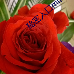 鸿运国际·(中国)会员登录入口