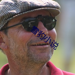 雪豹小說