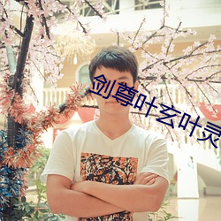 剑尊叶玄叶灵