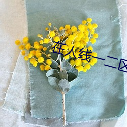 在人線一二區免費