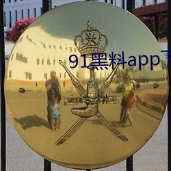 91黑料app下载
